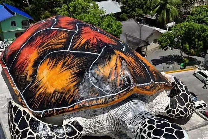 乗馬アドベンチャー、サル、ナマケモノ、島巡りツアー
