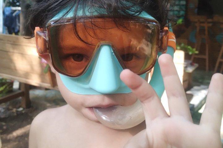 Snorkel Cartagena's Caribbean Reef + Blue Apple Beach Club Pass