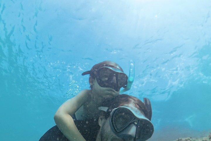Snorkel Cartagena's Caribbean Reef + Blue Apple Beach Club Pass