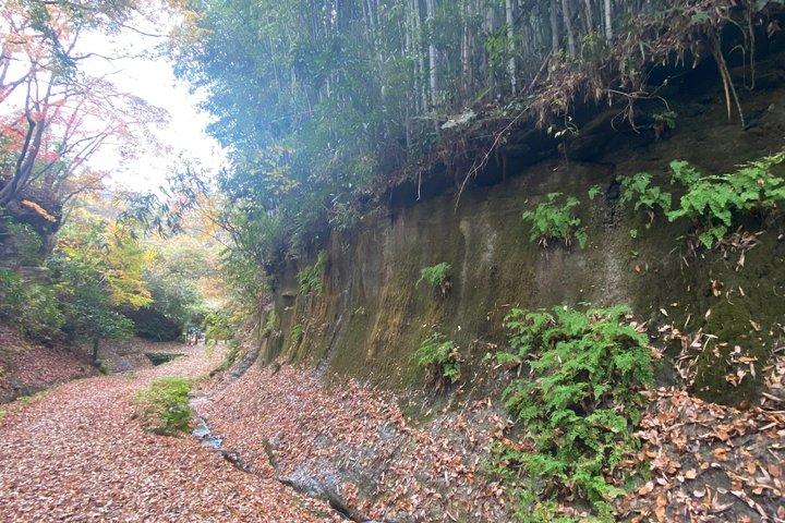 A essência de Kamakura: dos templos samurais ao mar.