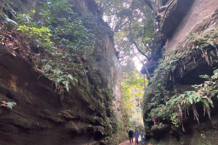 A essência de Kamakura: dos templos samurais ao mar.