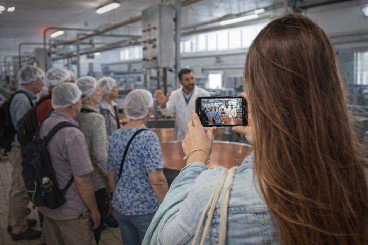 Guided tour of the cheese factory and tasting of Parmigiano Reggiano