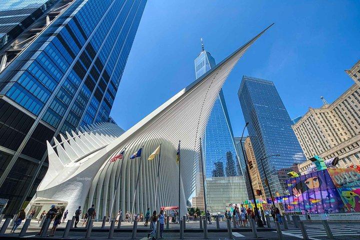 プライベート・ウォール・ストリート・ウォーキング・ツアーロウアー・マンハッタンと911メモリアル