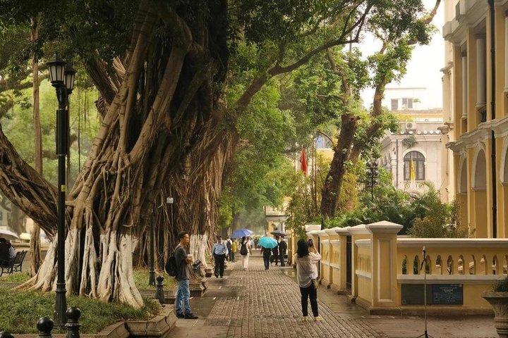 Privat Guangzhou Day Tour fra Hong Kong med højhastighedstog