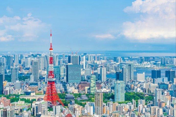 24 uur Tokyo City Sightseeing Ticket
