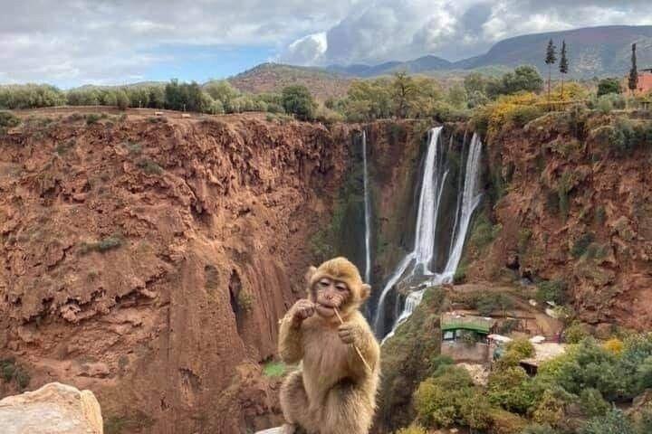 Ouzoud Waterfalls – Aventura natural de dia inteiro de Marrakech