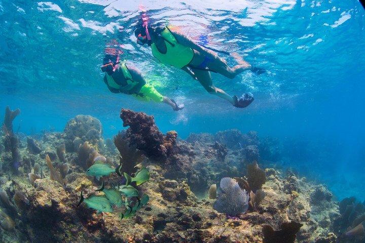Key West Rum e Reggae: Reef Snorkel Adventure e Sunset Sail