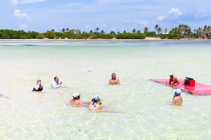 Visite du banc de sable de l'aventure de Key West avec kayak
