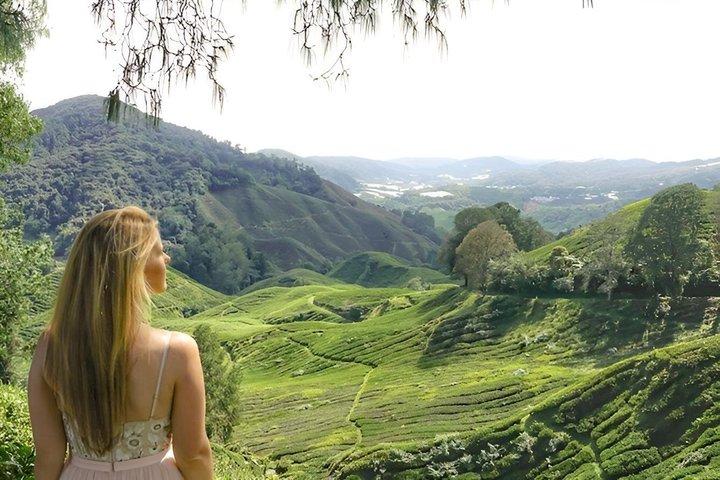 Dagstur til Cameron Highlands fra Ipoh med frokost og Mossy Forest