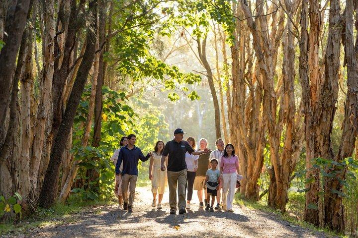 Kangaroos, Koalas & Tamborine Mountain Tour from Gold Coast