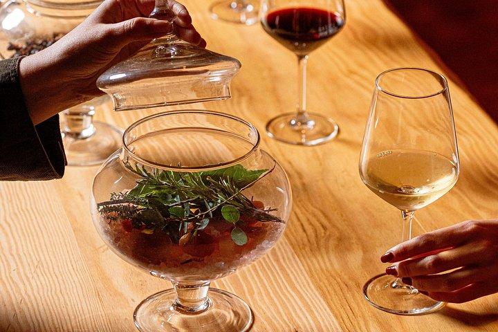Sensorisk resa av vinsmaker på Casa Paladin Winery