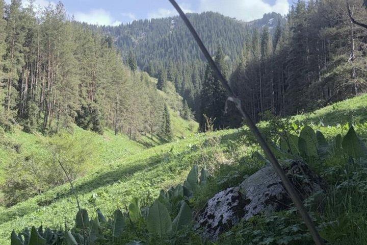Malerisches Reiterlebnis im Nationalpark Ile-Alatau