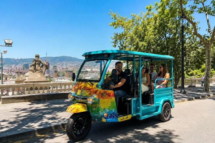 Barcelona Tuk Tuk-tur (3 timer)