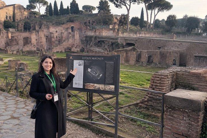 Gammel Rom Gladiator Walking Tour Colosseum og Ludus Magnus