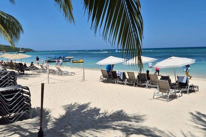 Roatan Private Snorkeling Aventura macaco Sloth West Bay Beach.