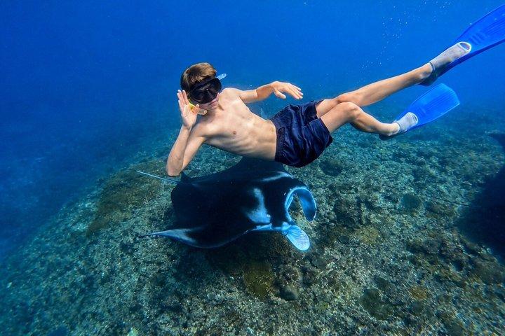 Nusa Penida Private Snorkeling and West Tour Start from Bali