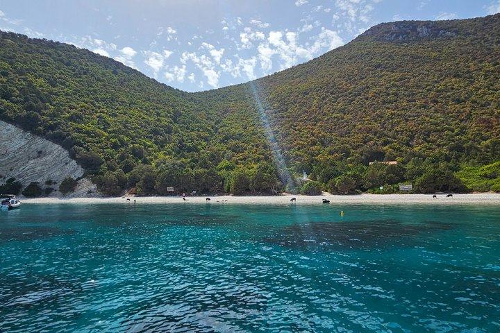 Visita Pigs Bay a Atokos Island con una crociera privata di mezza giornata