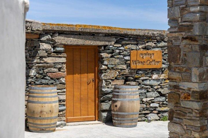 Wijnproeverij in Tinos : Terrastour met zeezicht & Sommelier Gids