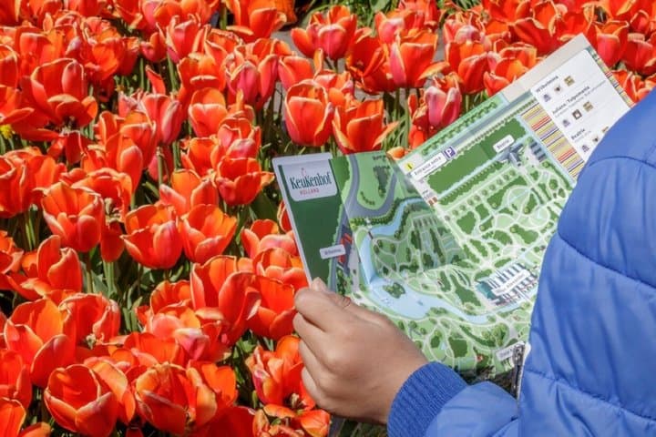 Private Skip-The-Line Keukenhof & Tulip Field Tour from Amsterdam