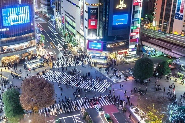Tokio destaca tour privado