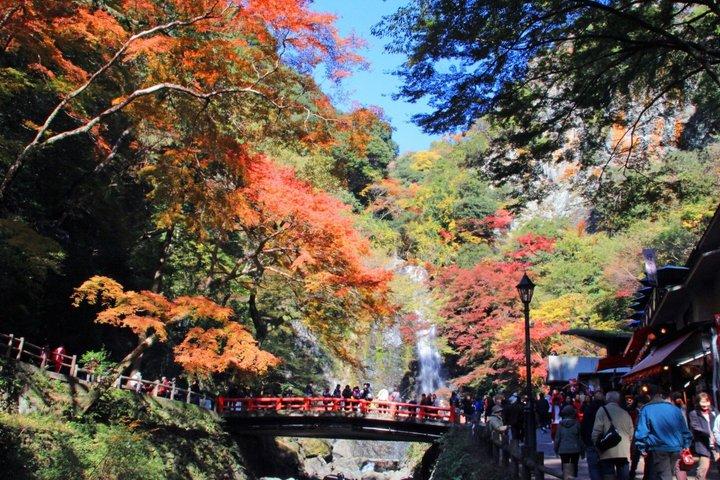 Excursión privada a Osaka desde Osaka