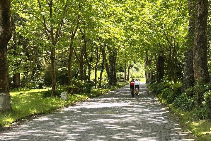 Halbtagestour durch Furnas auf der Insel São Miguel