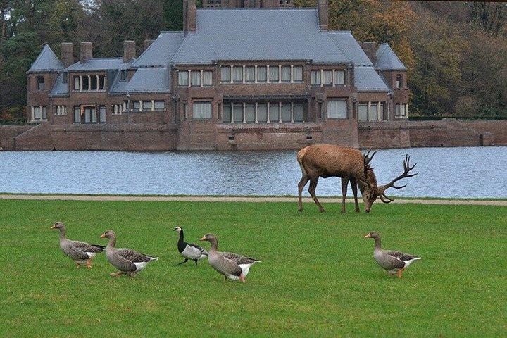 Visite privée de Kröller-Müller : Musée, parc de sculptures, pavillon de chasse