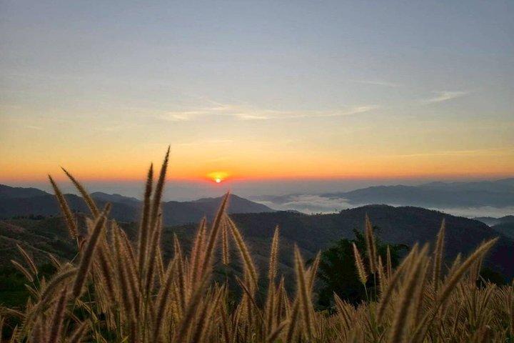 Chiang Rai till Chiang Mai privat naturskön transfertur