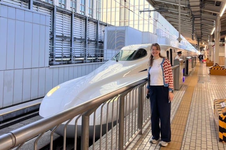 Kyoto Day Trip from Tokyo by Bullet Train Private Guided Tour