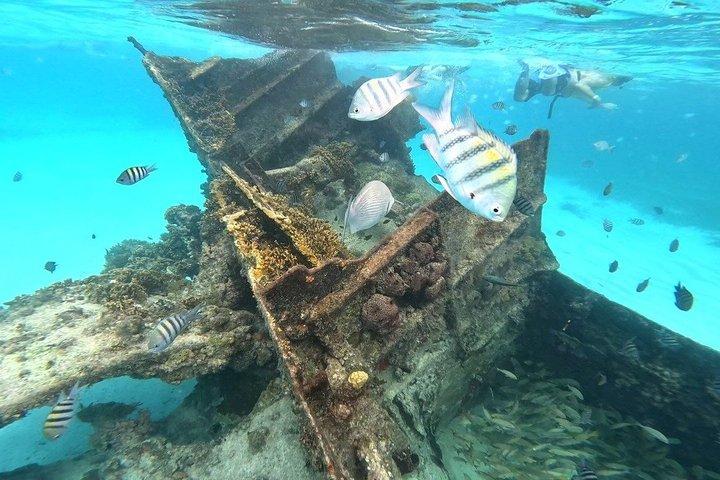 Cancun : 4 - Stop Schnorcheltour, Schildkröten, Riff, Schiffswrack & Cenote