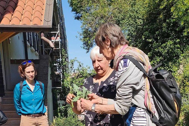 Promenade guidée dans les collines de Vérone avec repas végétarien de saison
