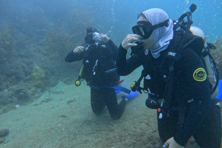 Lionfish Scuba Mini Course Underwater Adventure