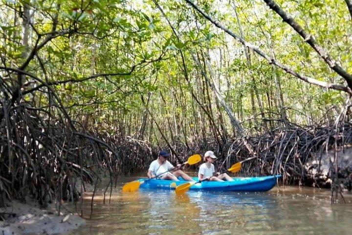 Ko Lanta Manglar Kayak y casco antiguo