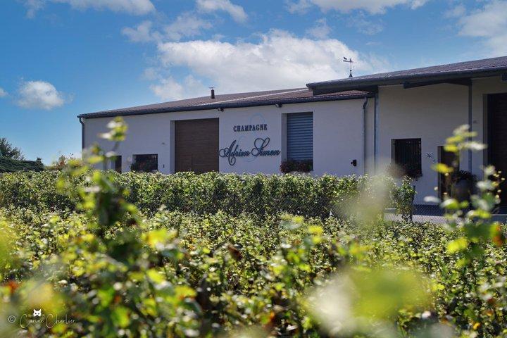 Visita a una tenuta di Champagne a conduzione familiare vicino a Reims