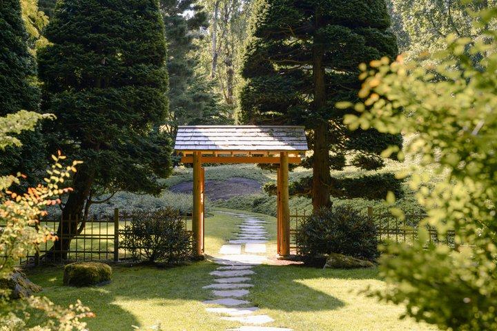 Tour alla scoperta di Bainbridge Island e della riserva di Bloedel