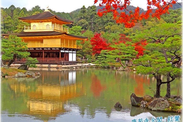 Kyoto : Kinkakuji derrière l'or - Marche UNESCO (droit d'entrée inclus)