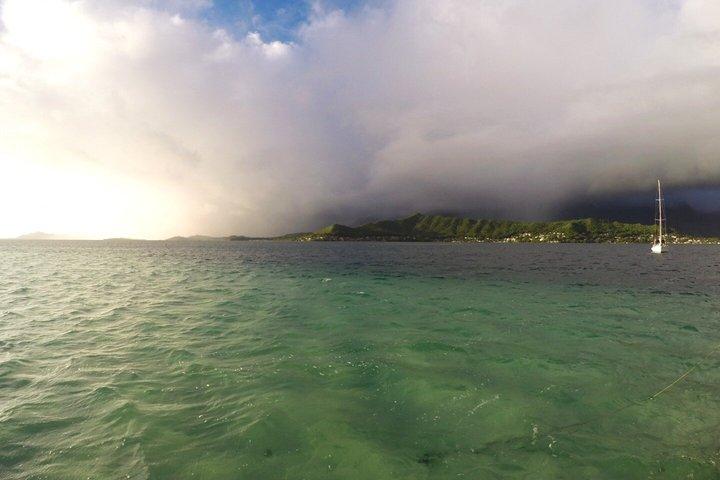 Kaneohe Sandbar Morgen Schnorcheltour