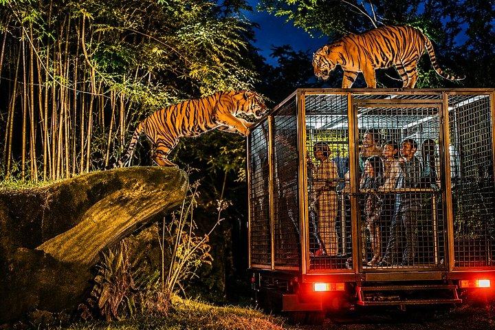Bali Safari rejseoplevelse