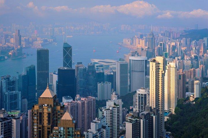 香港ビジネス代表:現地執行