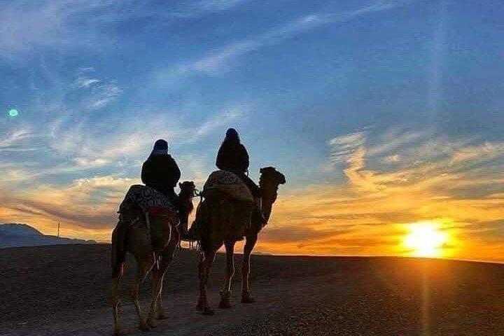 Marrakech : Agafay Desert Quad bike Camel & Dinner starry Night .