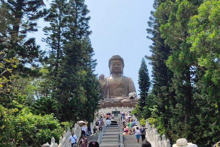 Visite de Lantau | Véhicule privé autorisé et Guide local du conducteur