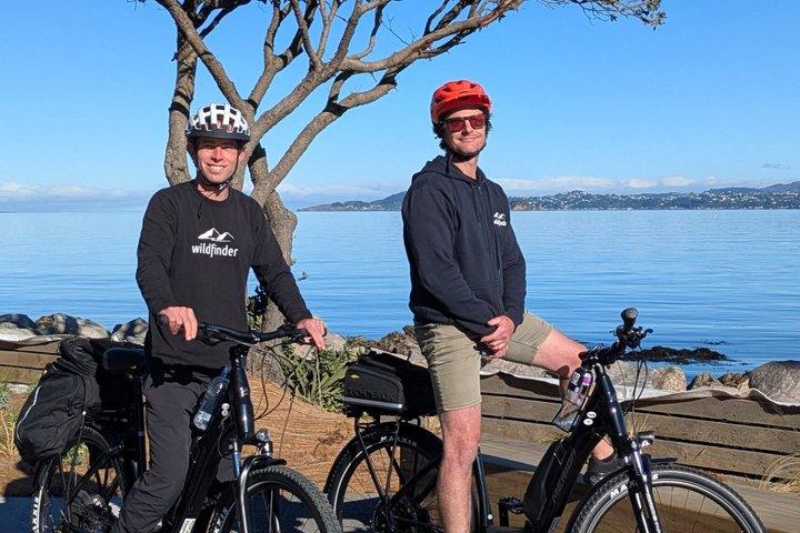 Wellington Harbour eBike Explorer Veerboot eerst dan Fietsen