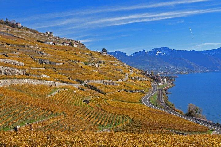 Lavaux UNESCO-vinmarker og vinsmagning Privat minibus fra Montreux