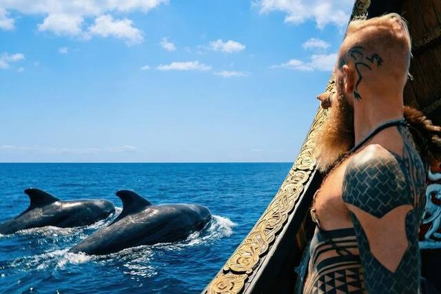 Whales & Dolphins