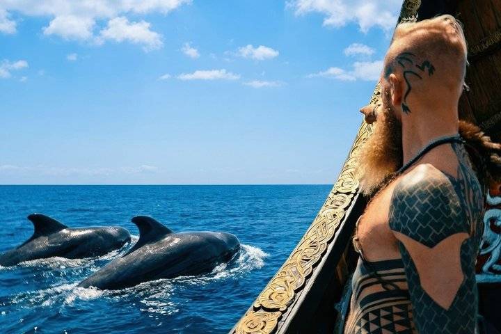 Whale watching, Tenerife