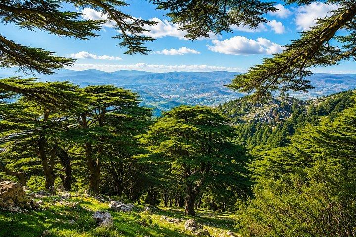 Privat Beiteddine, Barouk Cedars Hike & Deir el Qamar | Beirut