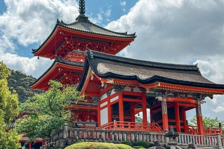 Kyoto Customized Private Tour with English speaking Guide