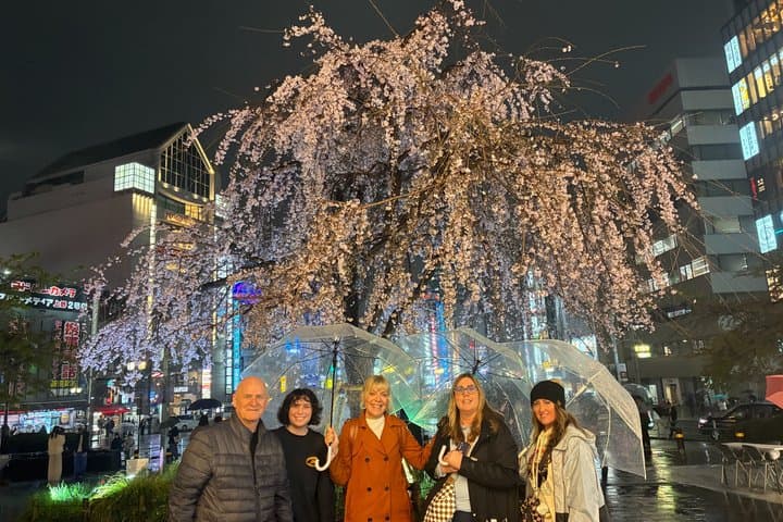 Tokyo Private Walking Tour Hidden Gems and Icons