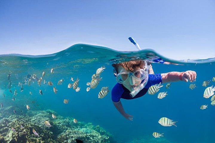 Roatan Private Snorkeling Aventura macaco Sloth West Bay Beach.