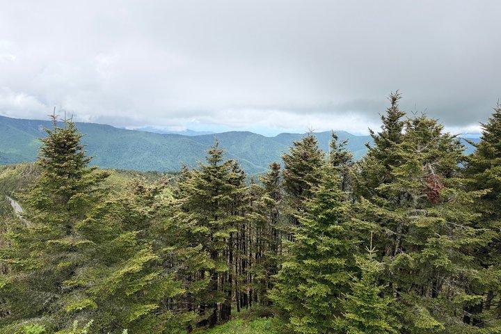 Excursion d'une journée à la boutique privée Blue Ridge Parkway